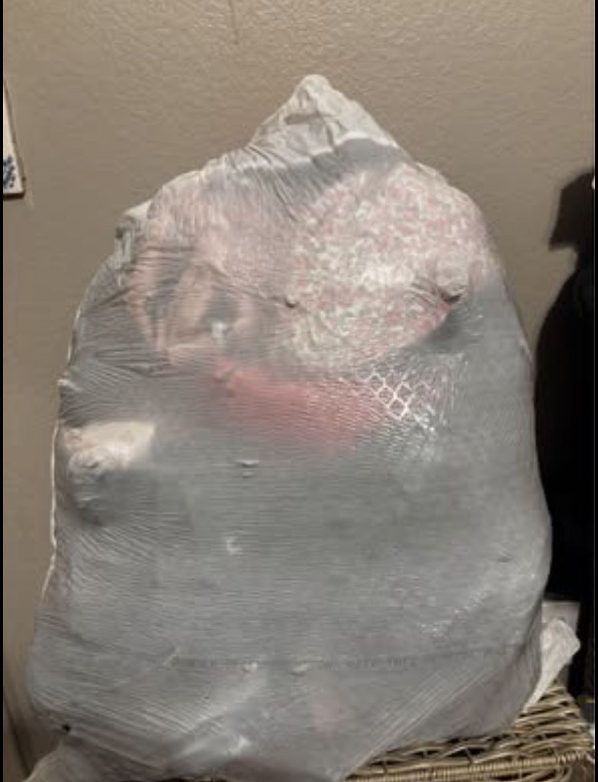 Mystery Bag