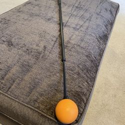 Orange Whip Gold Swing Trainer