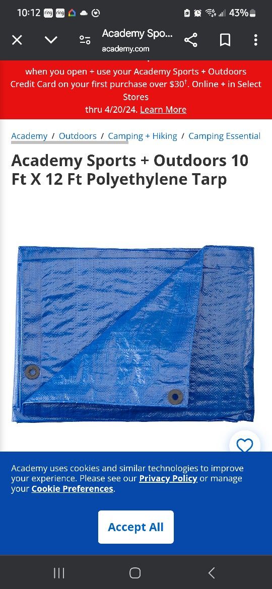 Blue Tarp-large