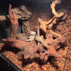 18x18x18 Inches very Big Tank 