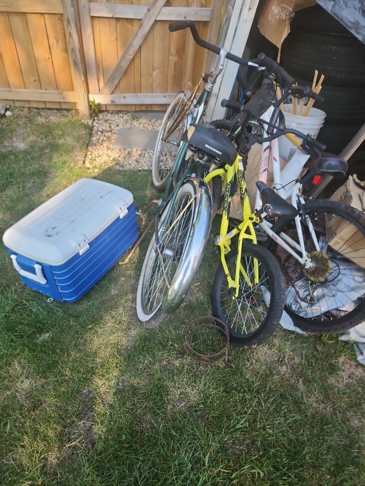 3 Bikes 1 Cooler