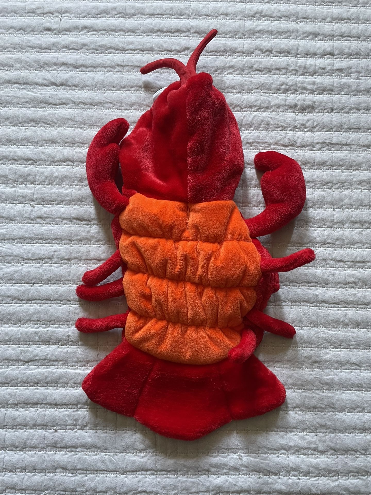 Shrimp Dog Costume 