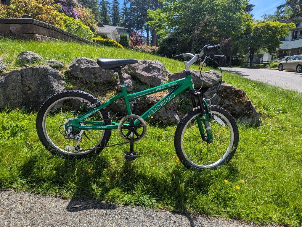 Kids Mountain Bike - 20"