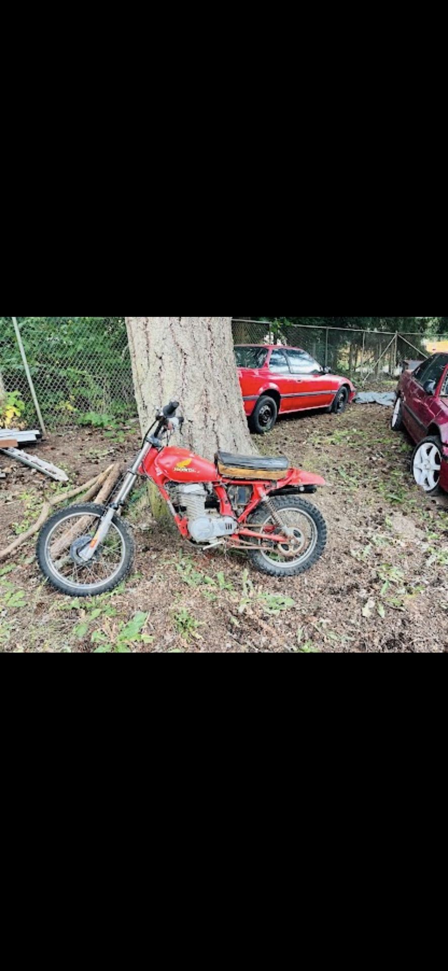 1982 Honda XL 80