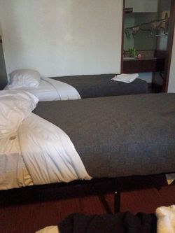 Share room