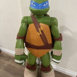Ninja Turtle