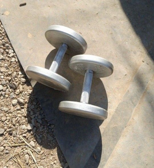 Dumbbells 2x32.5lbs