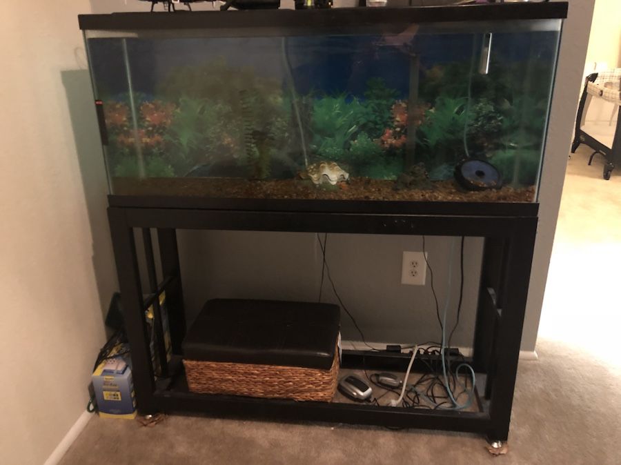 75 gallon fish tank with the stand