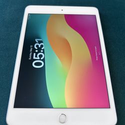Apple iPad mini (5th Generation) 64GB, Wi-Fi 7.9in-sliver-battery 100% Lite