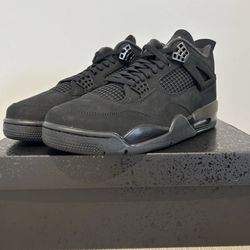 IN HAND Nike Air Jordan 4 “Black Cat” FV5029-010 (2025) DS Sz 12 with Receipt 