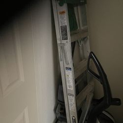 Louisville Professional Ladder 