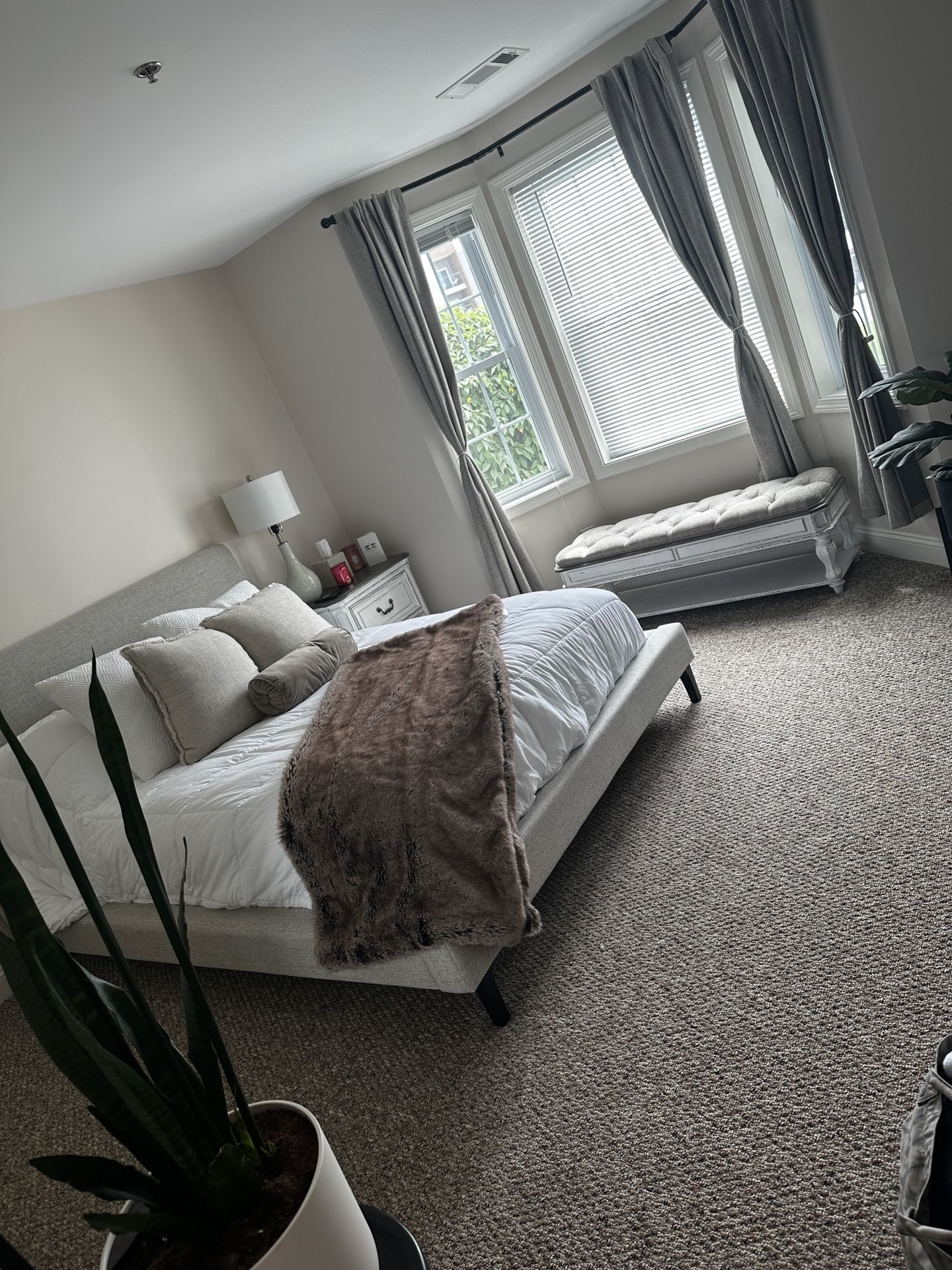 Head Board / Bed Frame