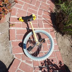 Unicycle