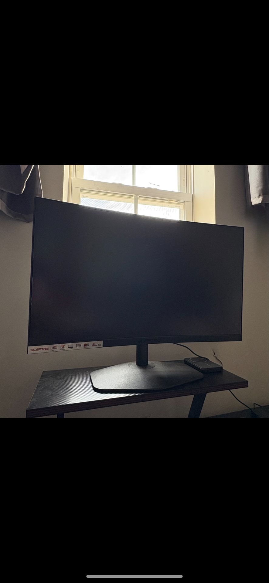 Sceptre 24” Curved Monitor