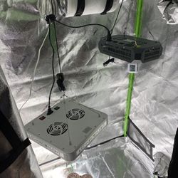 Grow Tent