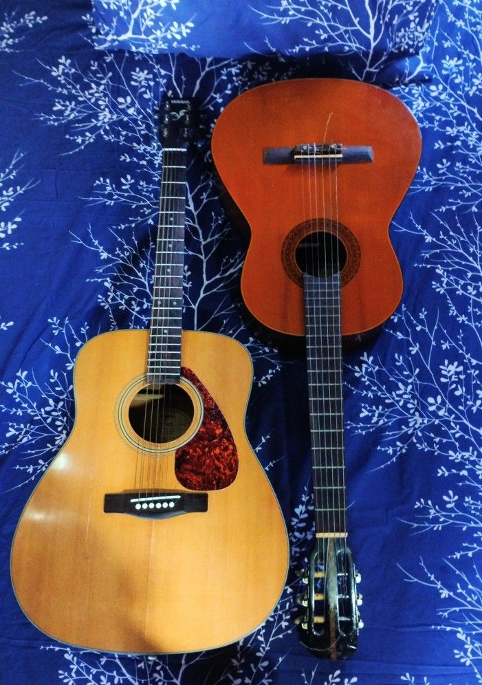 Guitar