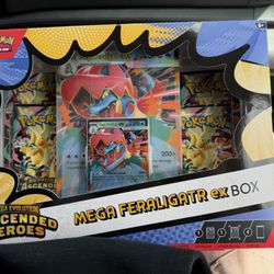 Mega Feraligator Box