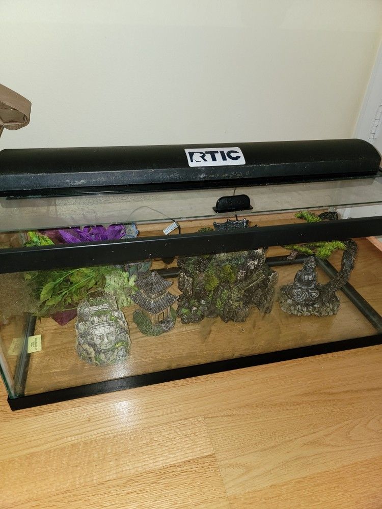 20 Gallon Long With Light, Tip Cover And Decoration 