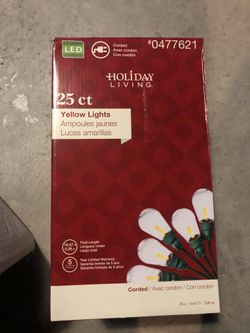 Holiday Living LED lights