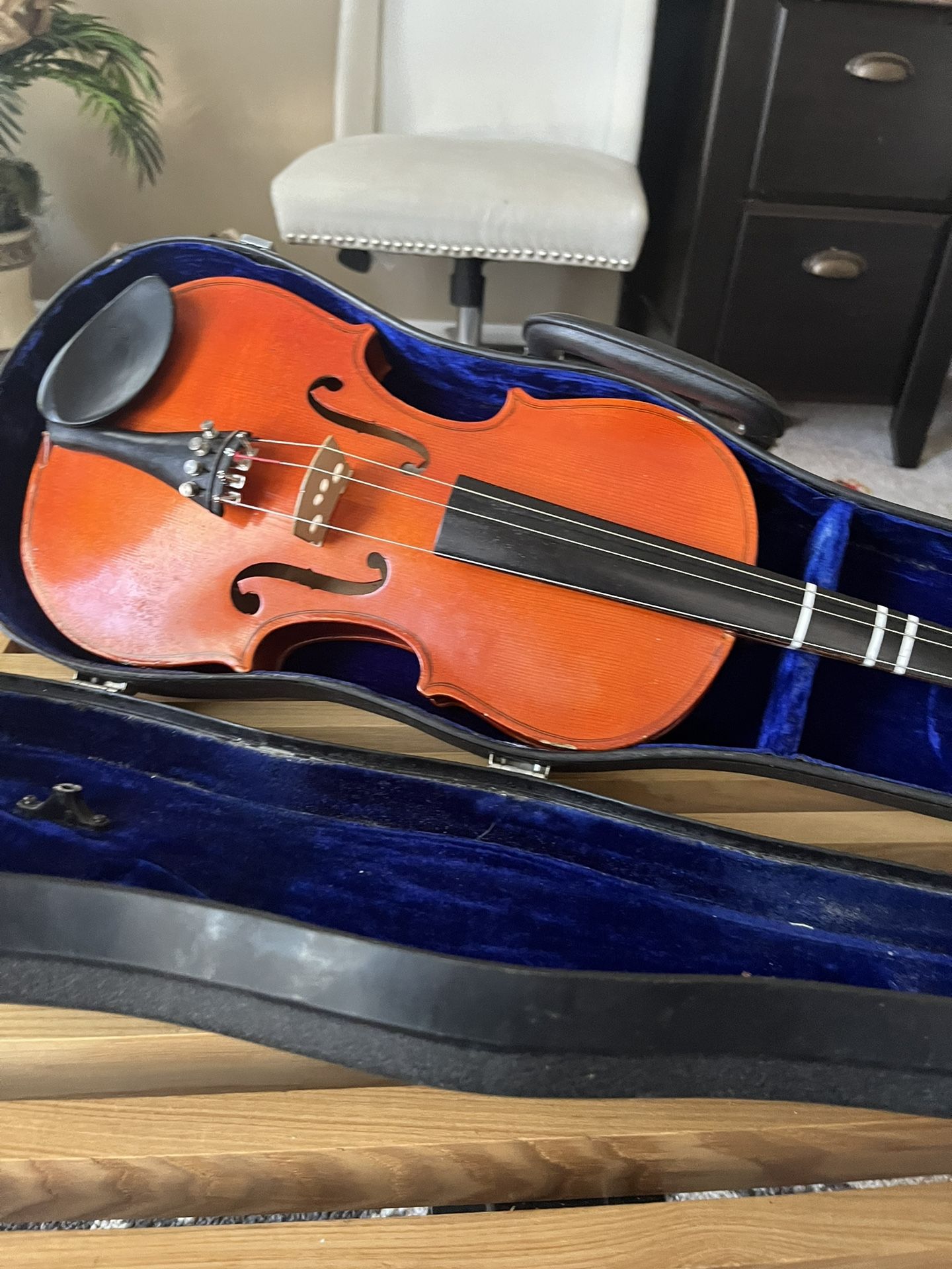 Voiult For Sale Size 4/4