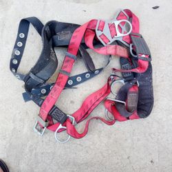 Harness