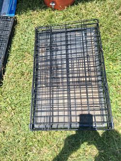 Dog Crate 30in long x 19in wide