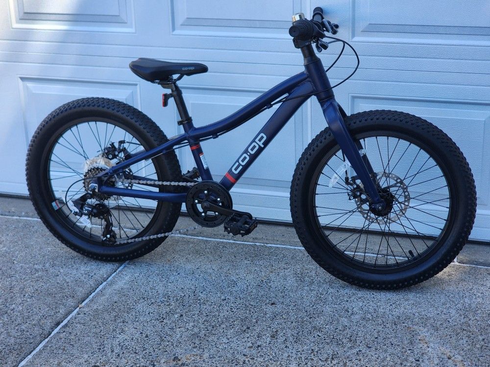 20" Rei Co-op disc