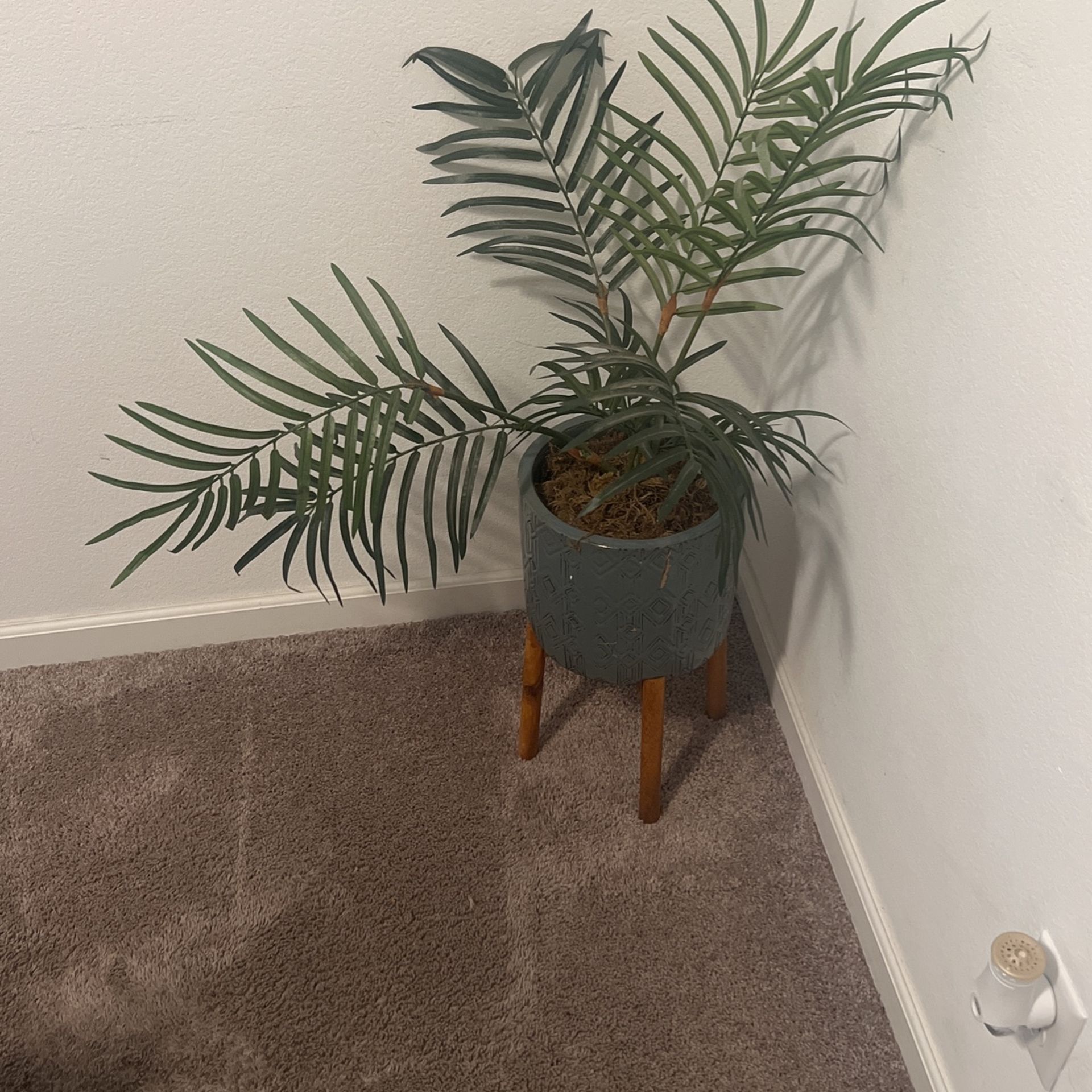 Fake Tree Plant