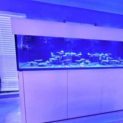 High End Waterbox ReefLX 320.7 Full Setup