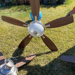 The Hampton Bay Ceiling Fans