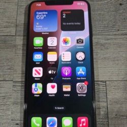 iPhone Xs Max 256GB Item 114