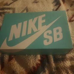 Nike Sb Alleyoop Shoes 