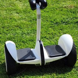 Segway Ninebot S 