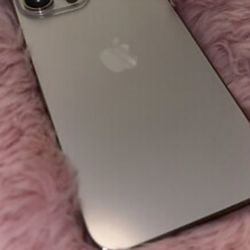 iPhone  13 Pro Max