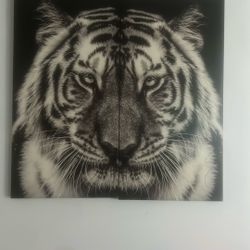 Wall Decor