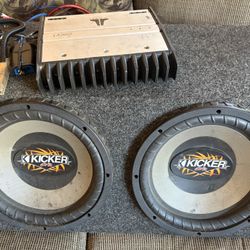 12 Inch Sub & Amp 