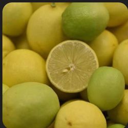 Limes