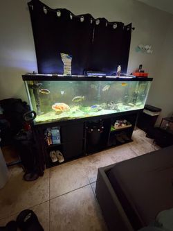 Fish tank 125 gallon