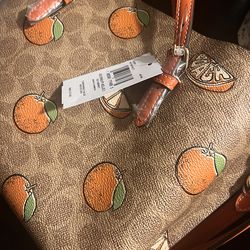 Coach new purse