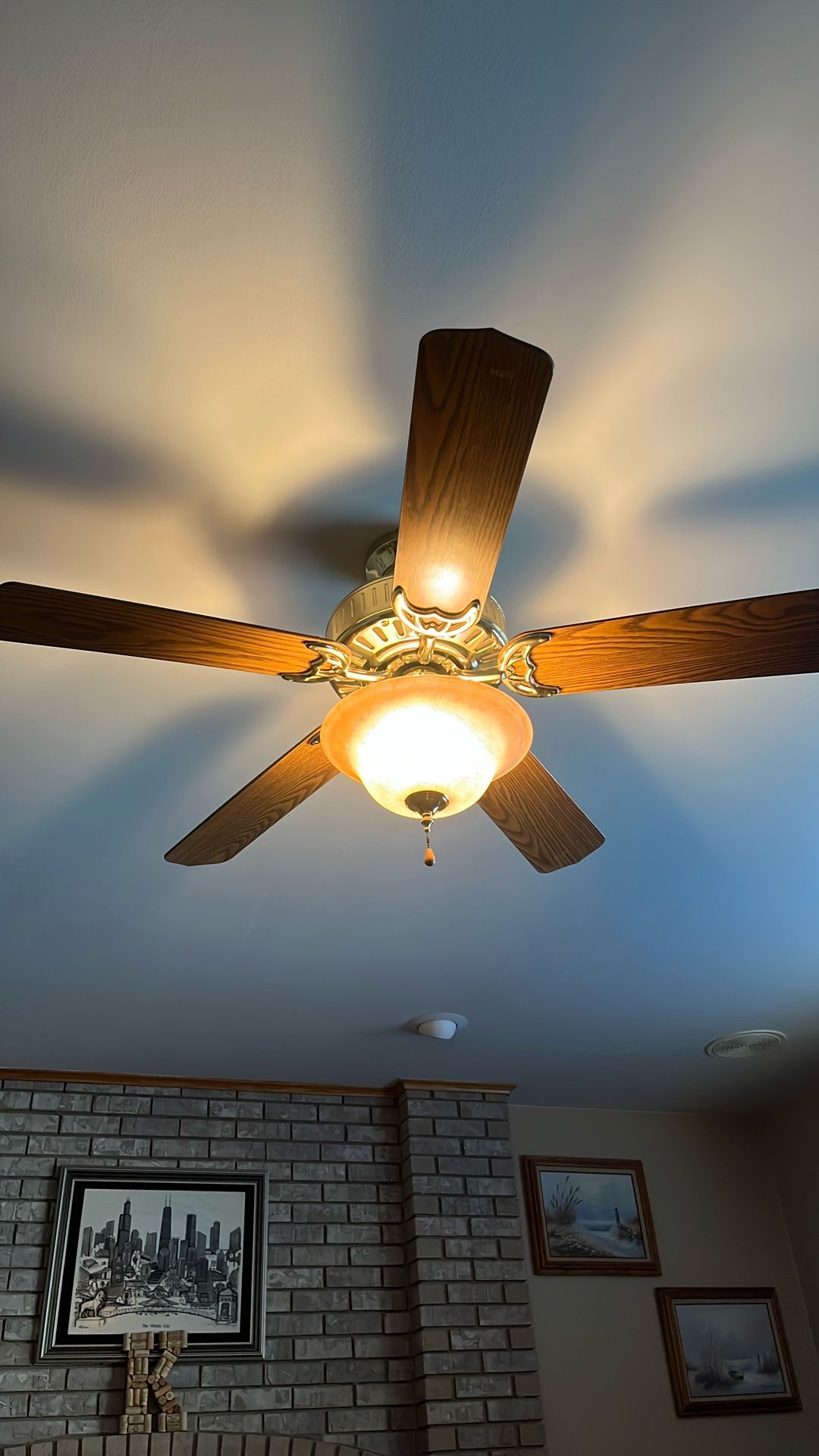 Hunter 50 Inch Ceiling Fans
