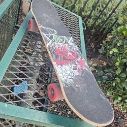 Skateboard cruiser