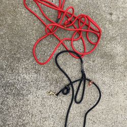 Dog Training Leashes 