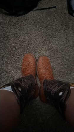 Nokota horse boots