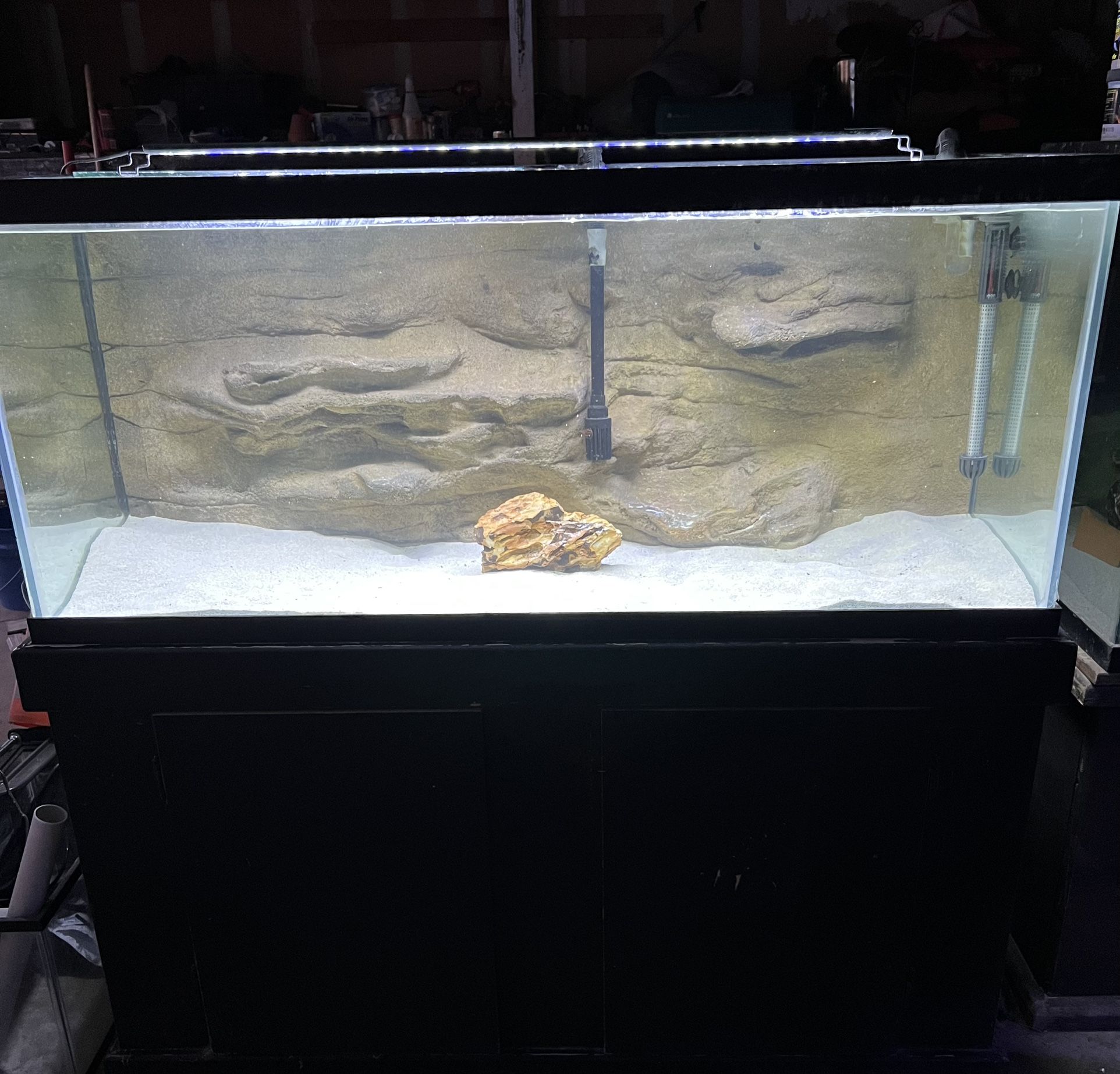75 Gallon Aquarium 