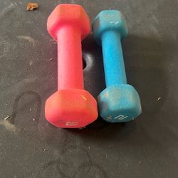 2 & 3 Lb Dumbbells
