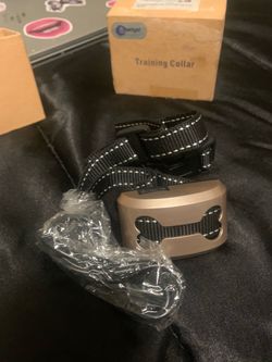 Dog Training Collar with Nylon Strap