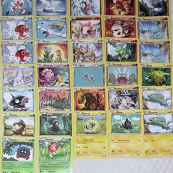 Pokémon Bulk 2015-2016 & Tin