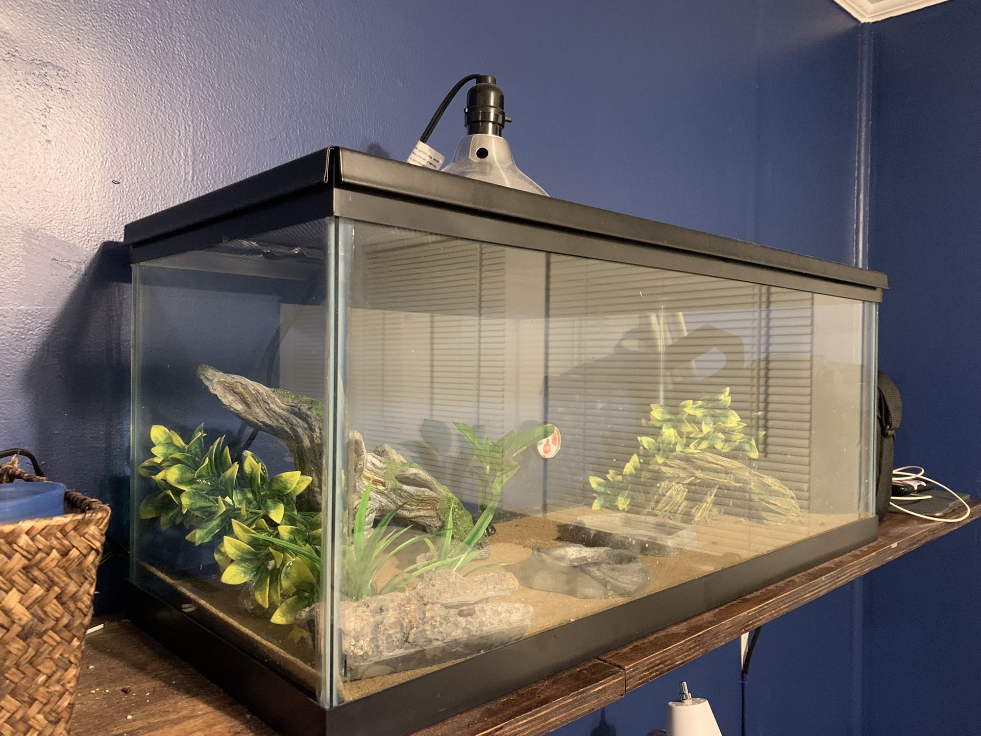 Reptile Starter Setup **Read Description**