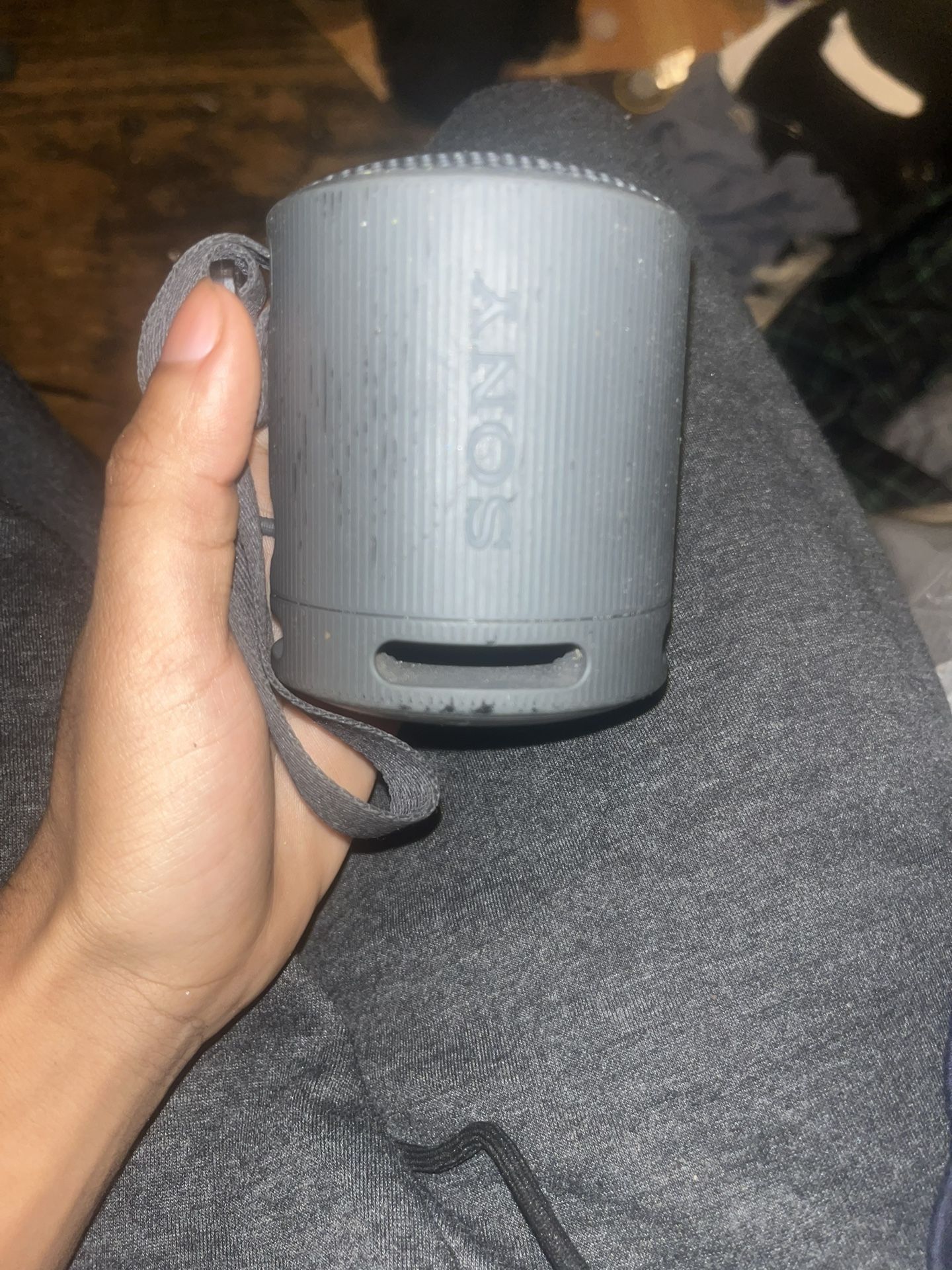Sony Portable Bluetooth Speaker (Gray)