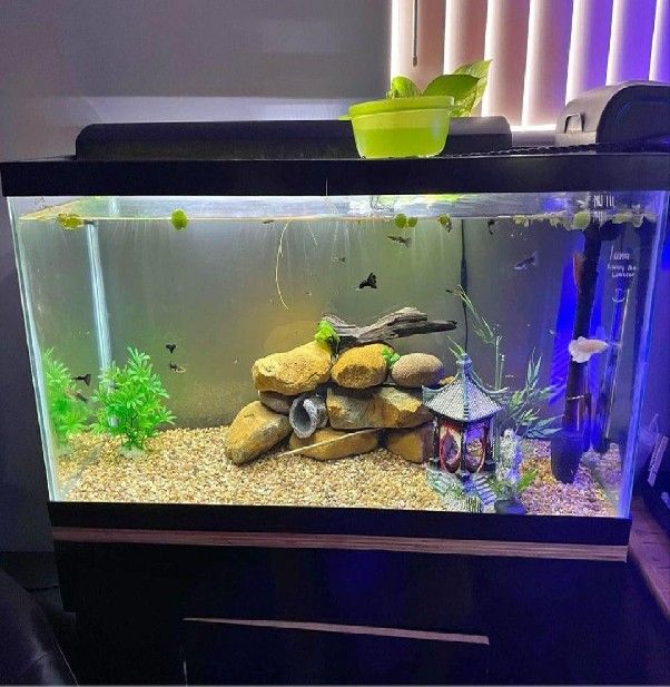 hundred full Complete Aquarium Kit – Explore an Underwater Wonderland